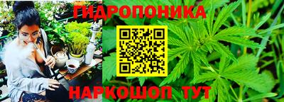 спайс Будённовск