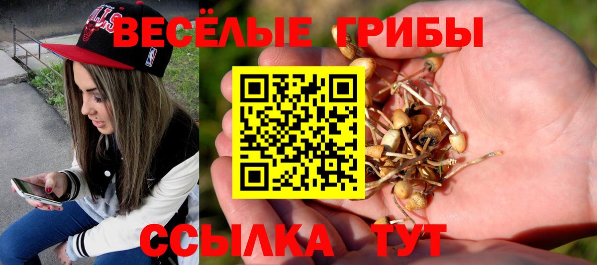 Псилоцибиновые грибы Psilocybine cubensis  Вход с VPN  Туапсе 